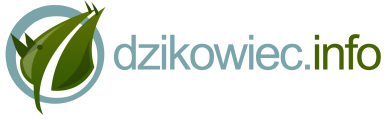 logo_dzikowiec_www3